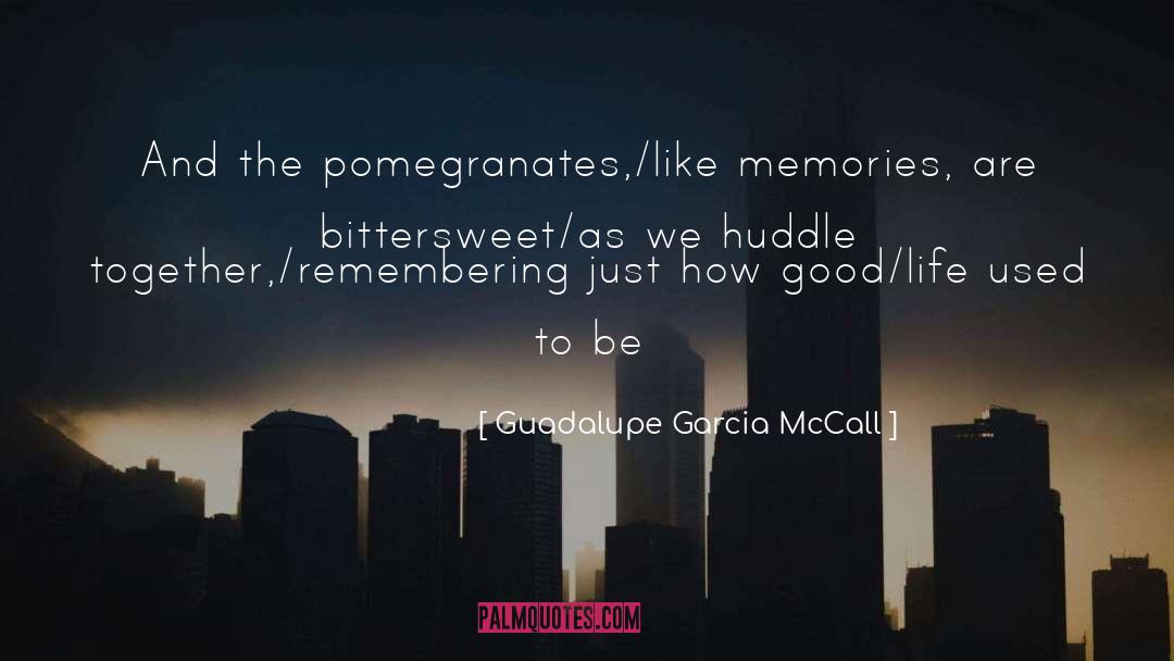 Family Memories quotes by Guadalupe Garcia McCall