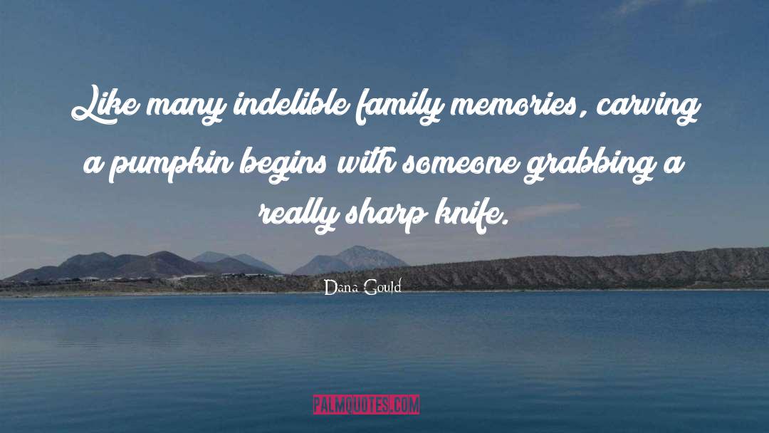 Family Memories quotes by Dana Gould