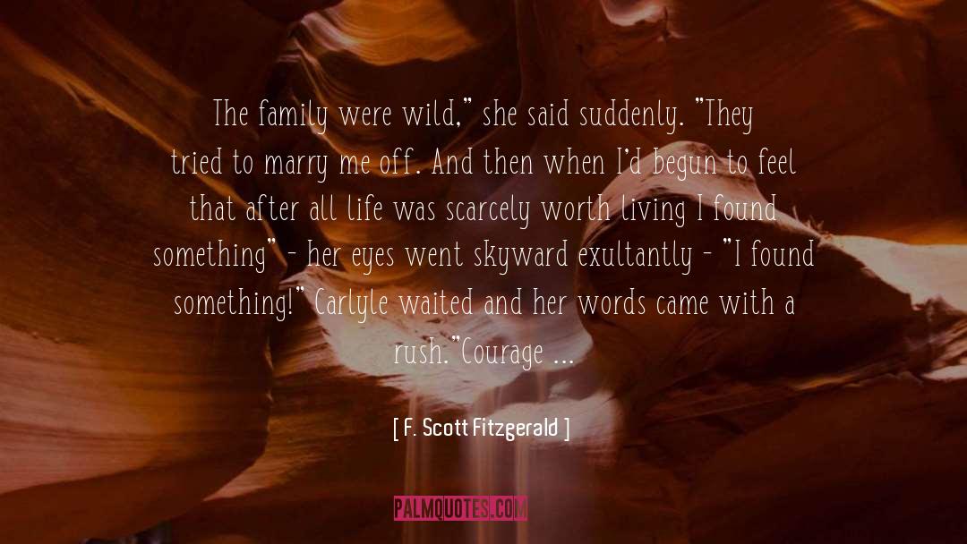 Family Reunion quotes by F. Scott Fitzgerald