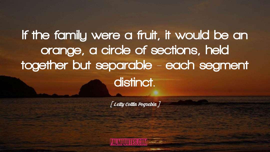 Family Saga quotes by Letty Cottin Pogrebin