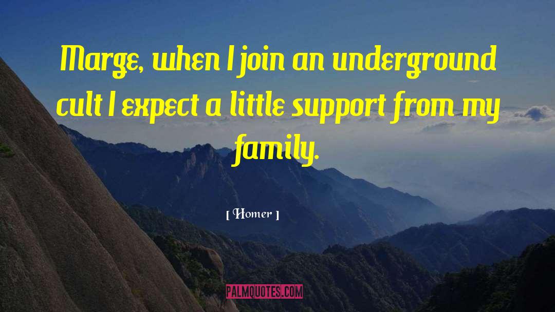 Family Support quotes by Homer