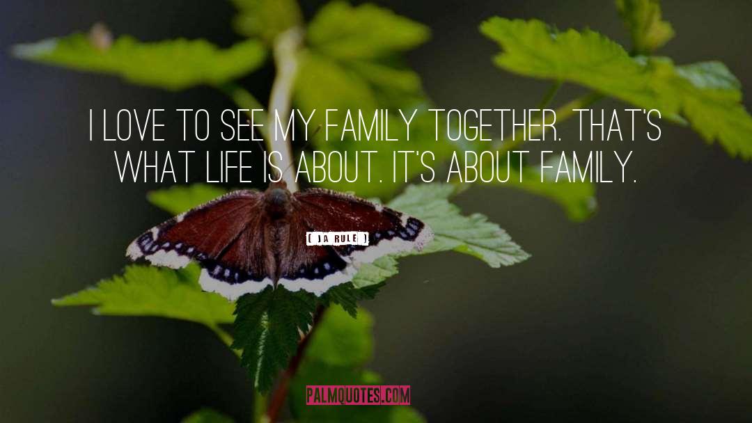 Family Together quotes by Ja Rule