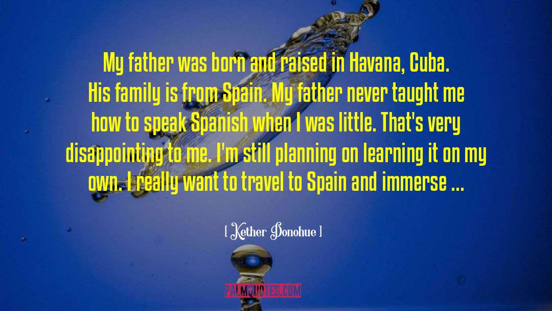 Family Travel quotes by Kether Donohue