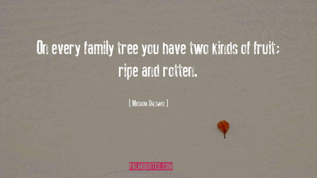 Family Tree quotes by Matshona Dhliwayo