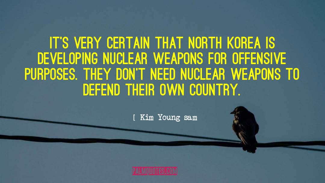Famous Assault Weapons quotes by Kim Young-sam