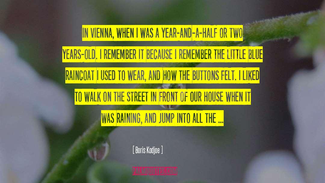 Famous Blue Raincoat quotes by Boris Kodjoe