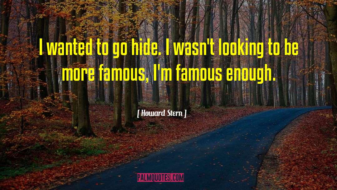 Famous Cubist quotes by Howard Stern