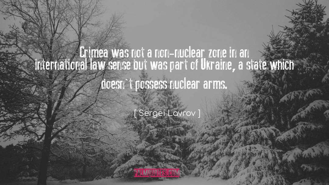 Famous International Law quotes by Sergei Lavrov