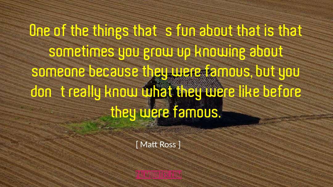 Famous Motivational quotes by Matt Ross