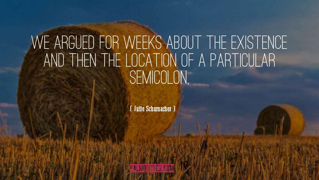 Famous Semicolon quotes by Julie Schumacher