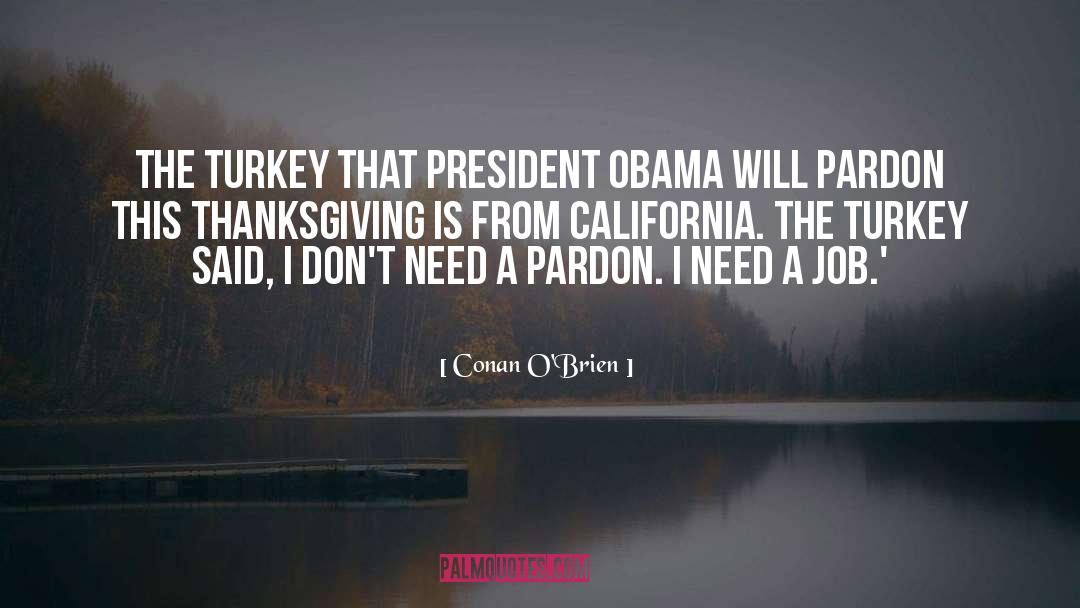 Famous Thanksgiving quotes by Conan O'Brien