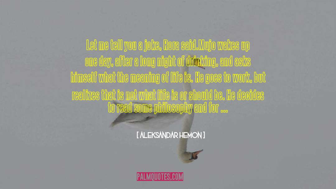 Fan Studies quotes by Aleksandar Hemon