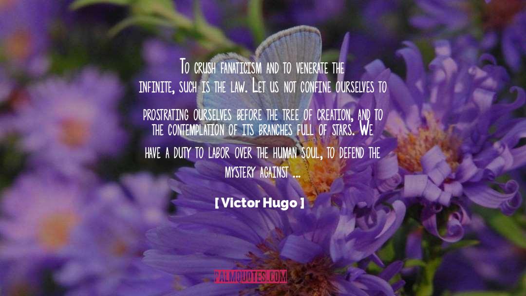 Fanaticism quotes by Victor Hugo