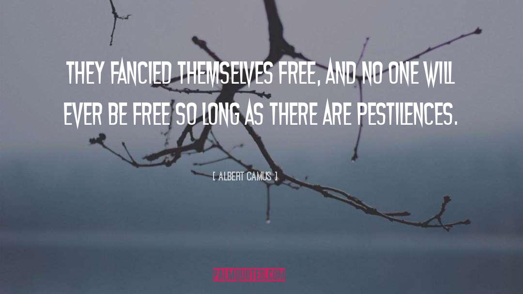 Fancied quotes by Albert Camus