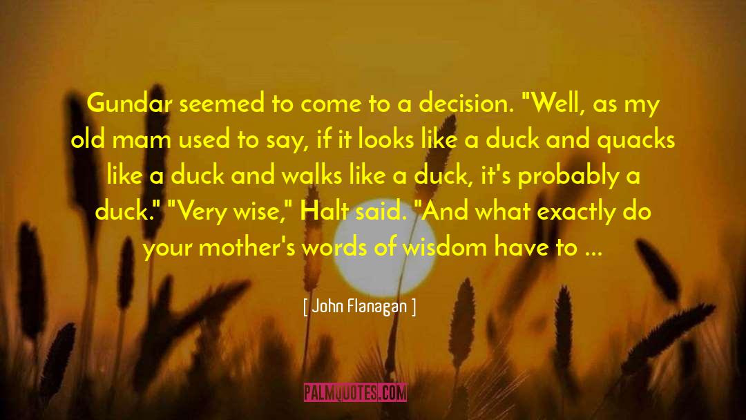 Fancy Duck quotes by John Flanagan