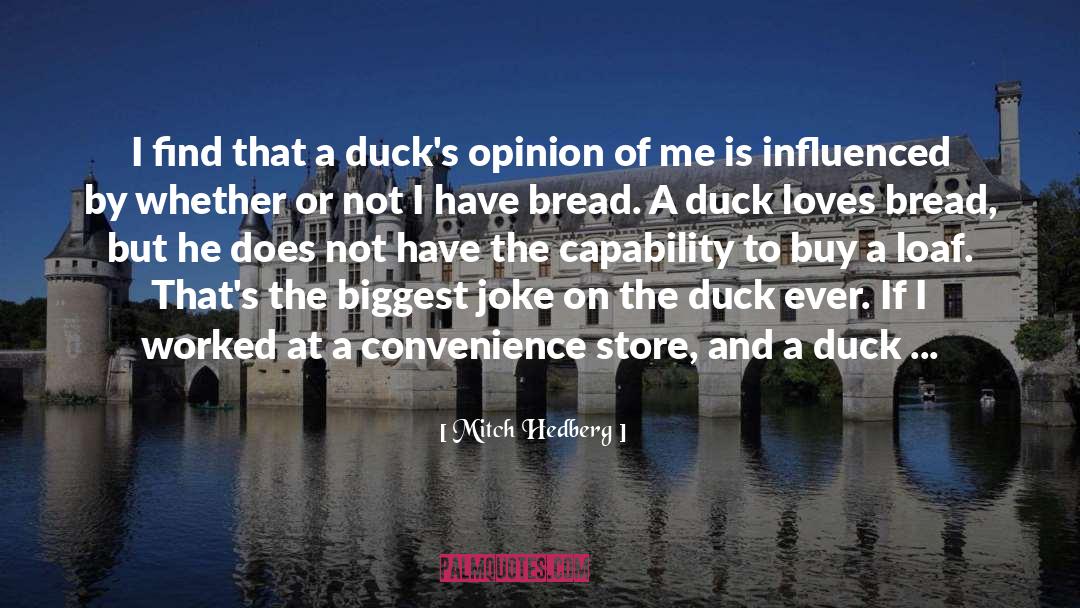 Fancy Duck quotes by Mitch Hedberg