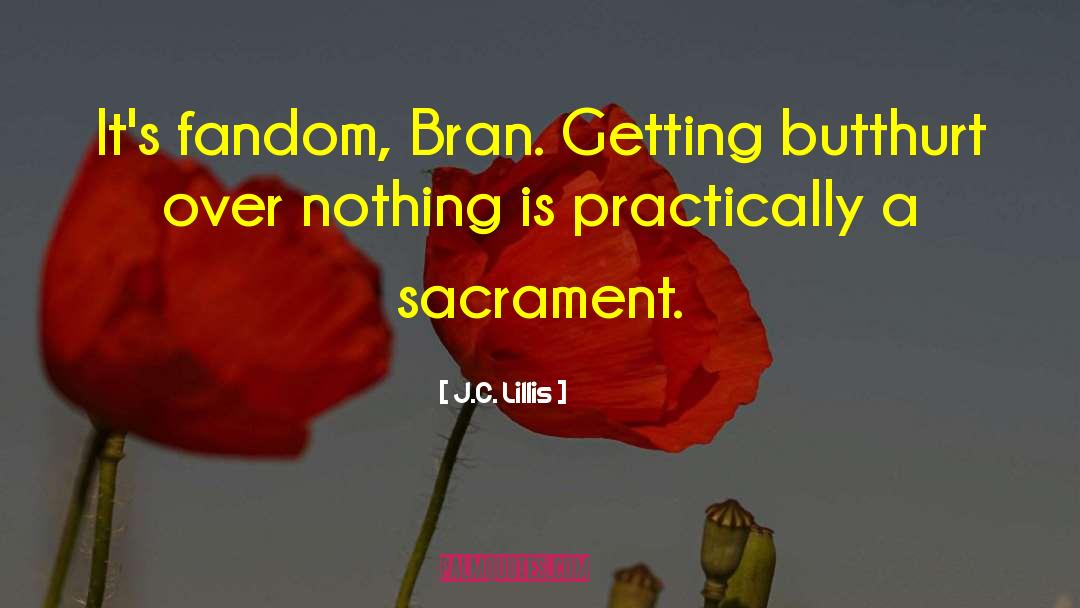 Fandom quotes by J.C. Lillis