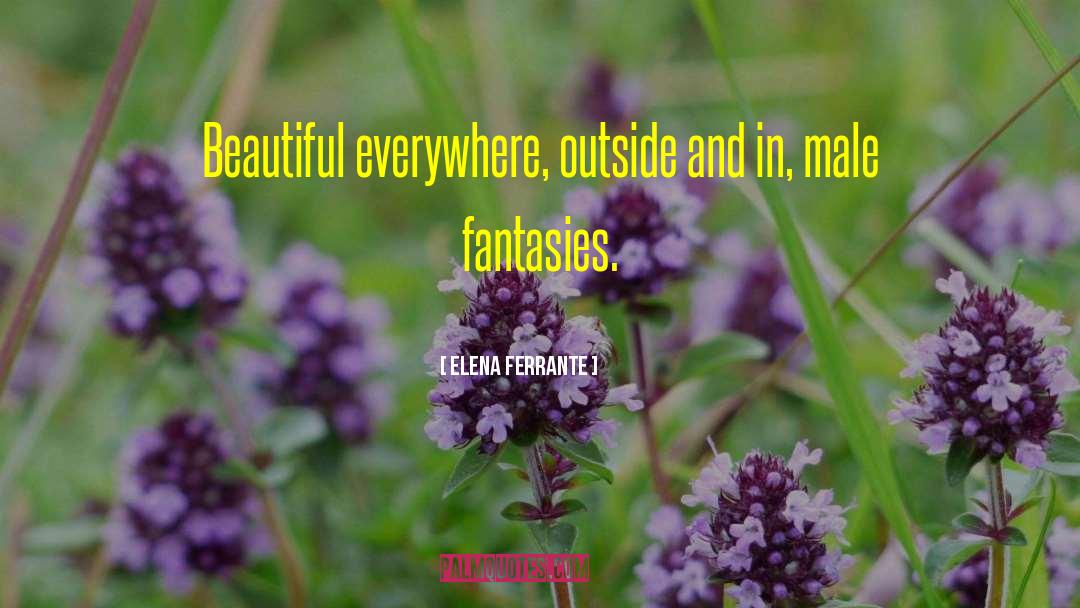Fantasies quotes by Elena Ferrante