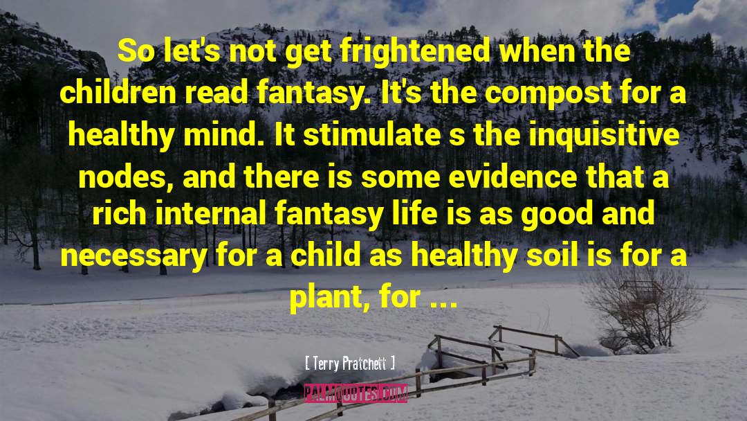 Fantasy Life quotes by Terry Pratchett