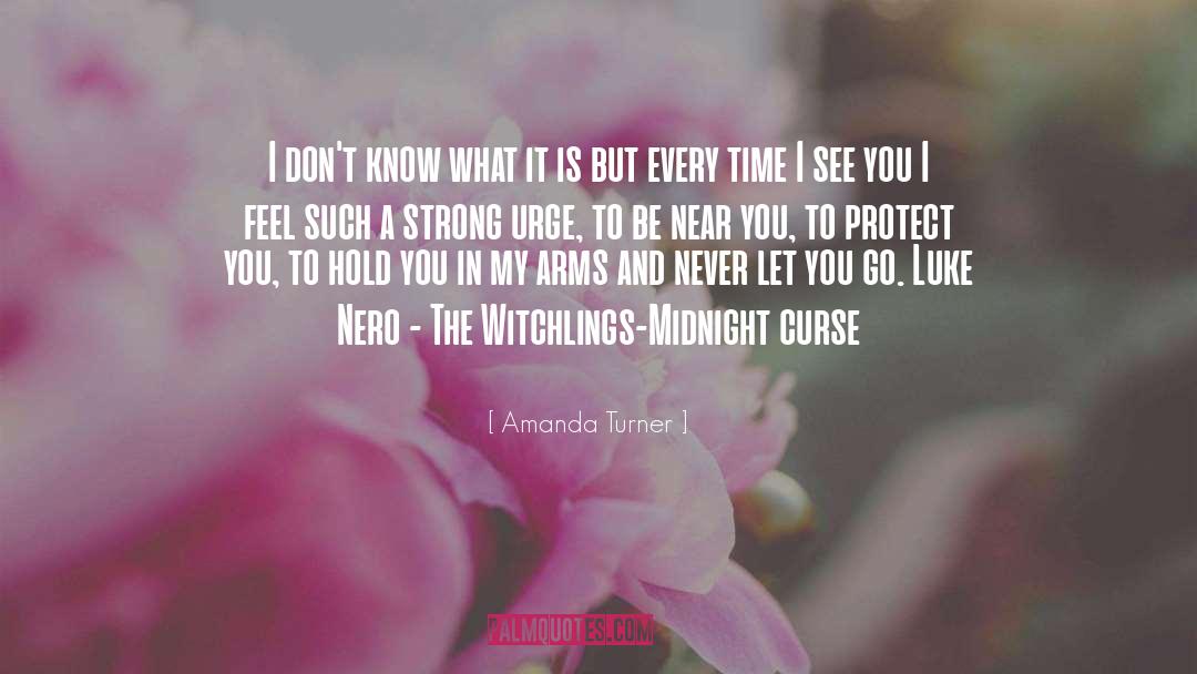 Fantasy Love quotes by Amanda Turner