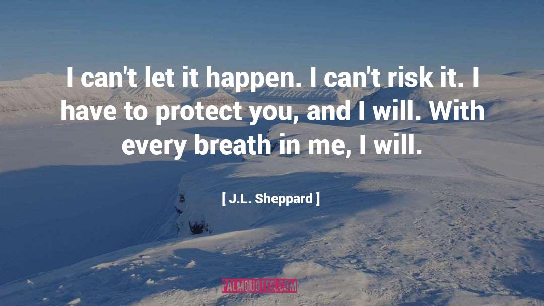 Fantasy Series quotes by J.L. Sheppard