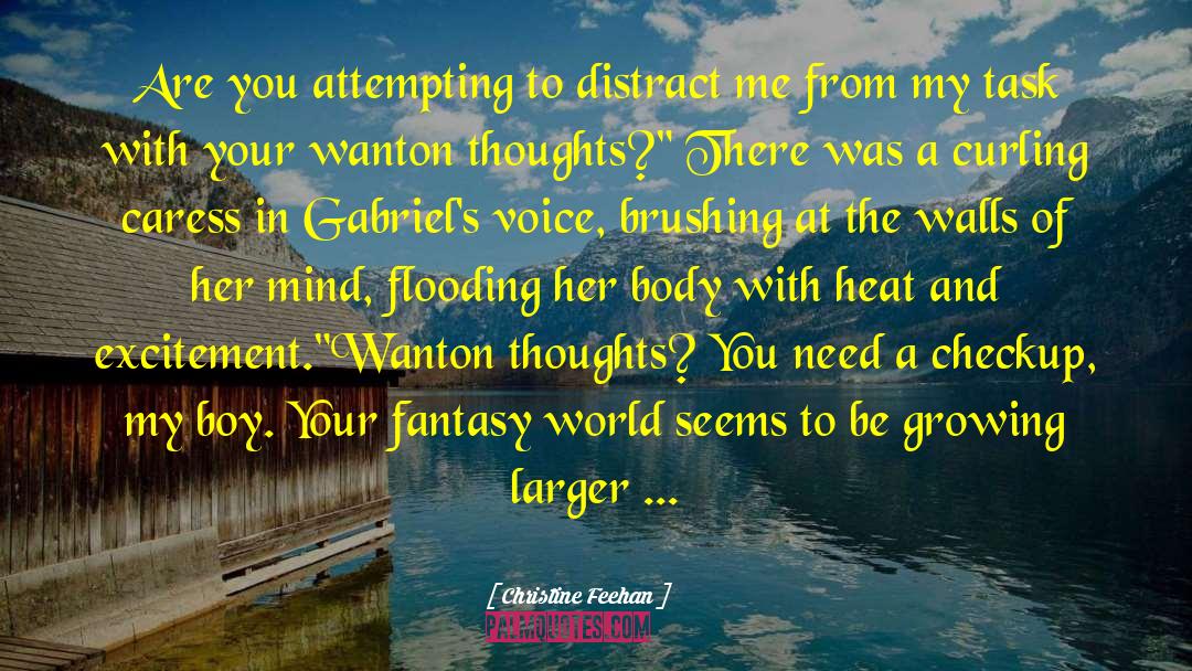 Fantasy World quotes by Christine Feehan