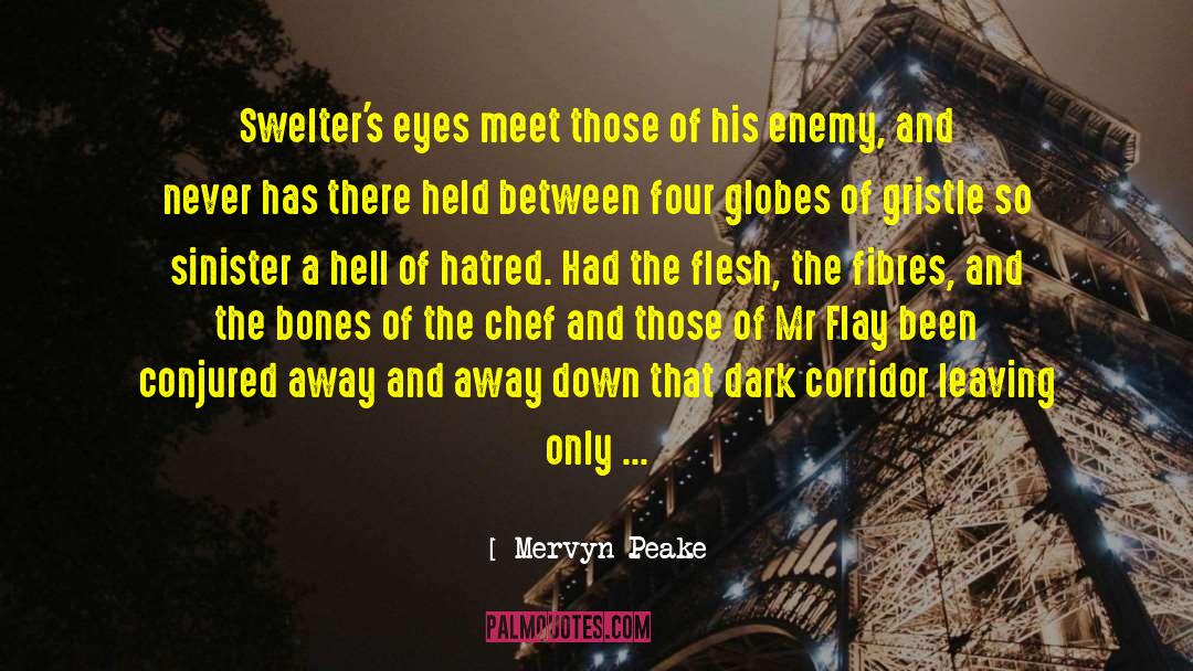 Fantasy Ya quotes by Mervyn Peake