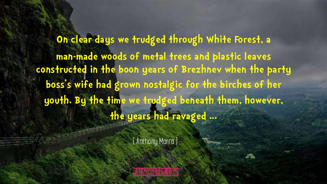 Far Forest Scrolls Na Cearcaill quotes by Anthony Marra