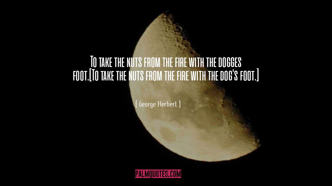 Far Out Space Nuts quotes by George Herbert