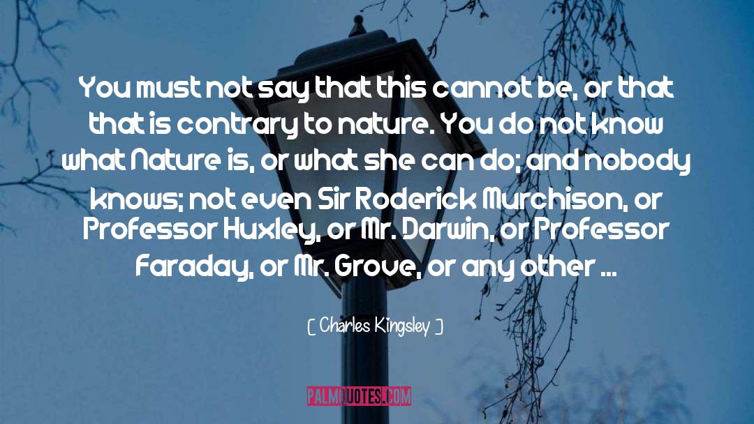 Faraday quotes by Charles Kingsley