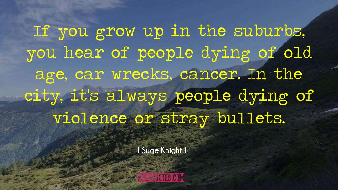 Faraja Cancer quotes by Suge Knight