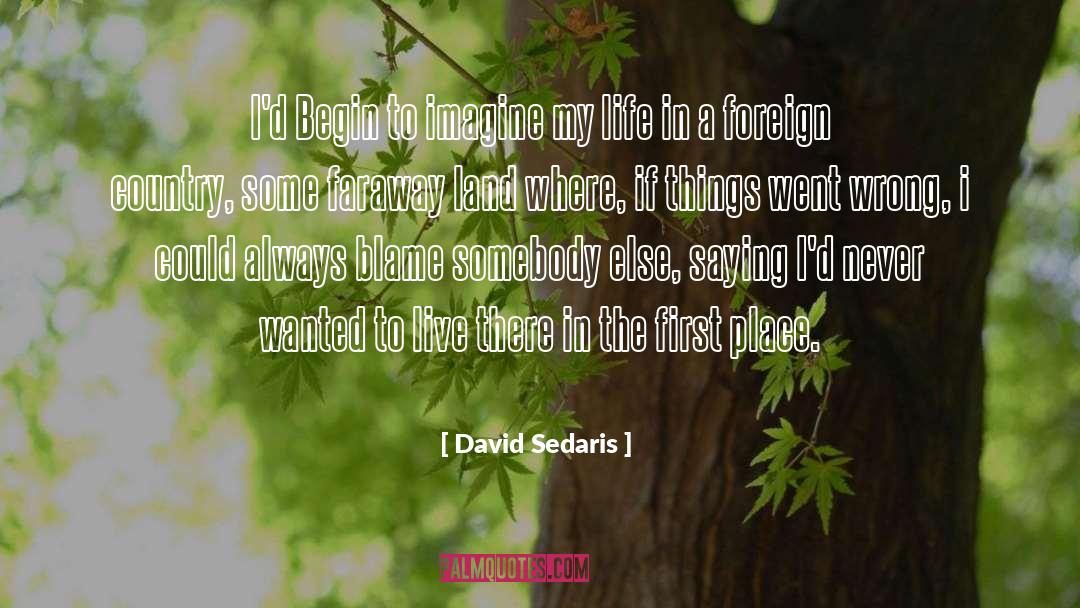 Faraway quotes by David Sedaris