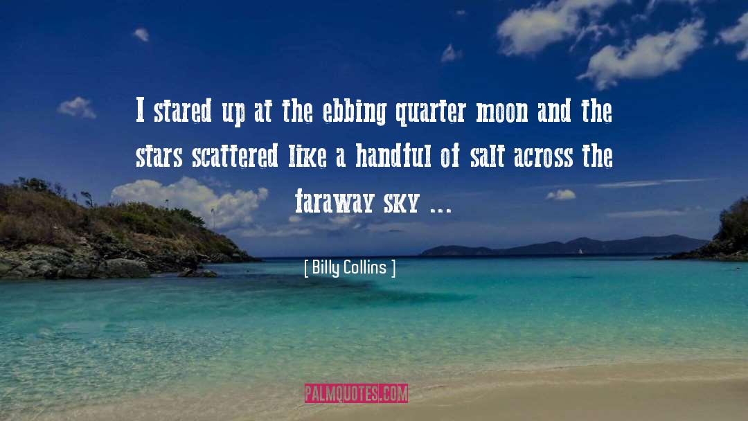 Faraway quotes by Billy Collins