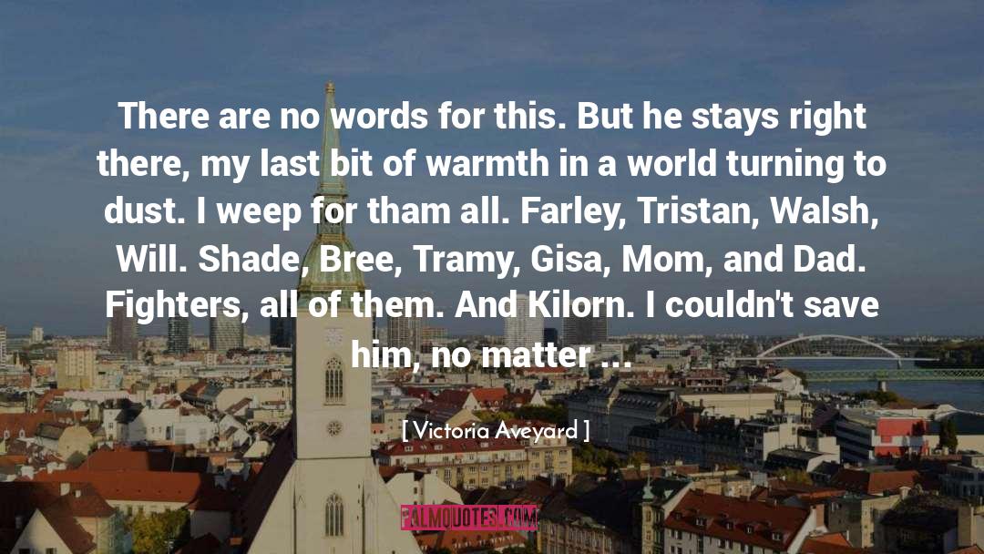 Farley quotes by Victoria Aveyard