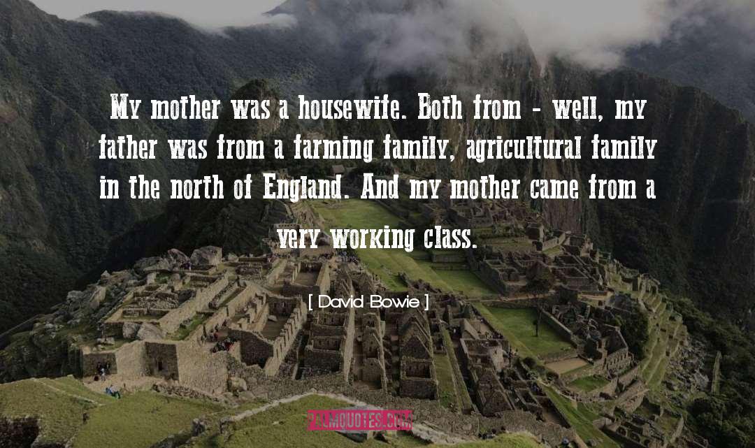 Farming quotes by David Bowie