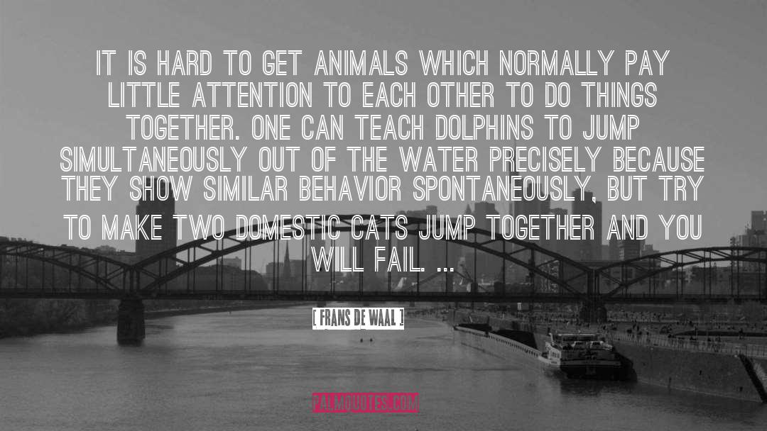 Farrell Cats quotes by Frans De Waal