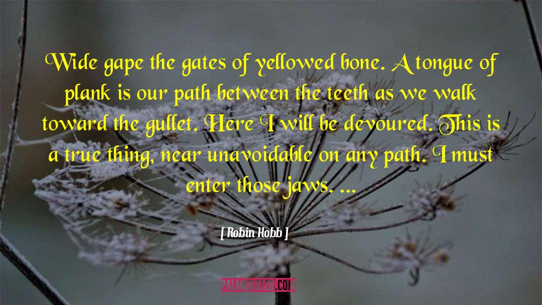 Farseer quotes by Robin Hobb