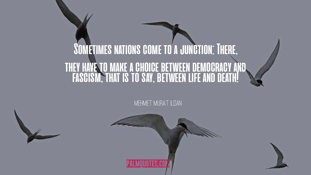 Fascism quotes by Mehmet Murat Ildan
