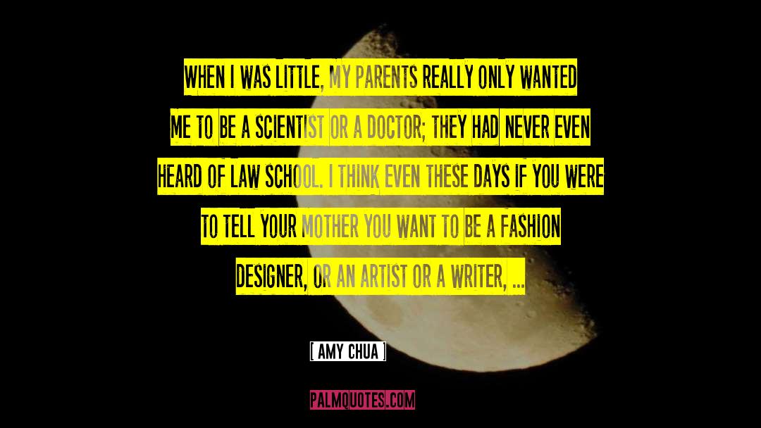 Fashion Designer quotes by Amy Chua