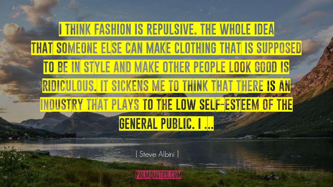 Fashion Industry quotes by Steve Albini