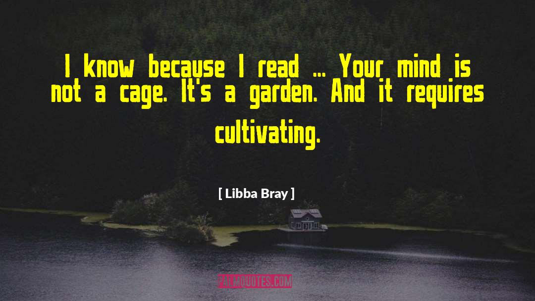 Fashion Inspirational quotes by Libba Bray