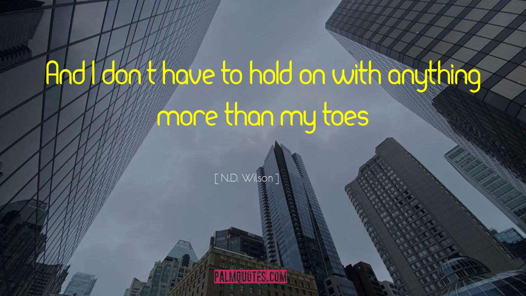 Fashion Inspirational quotes by N.D. Wilson