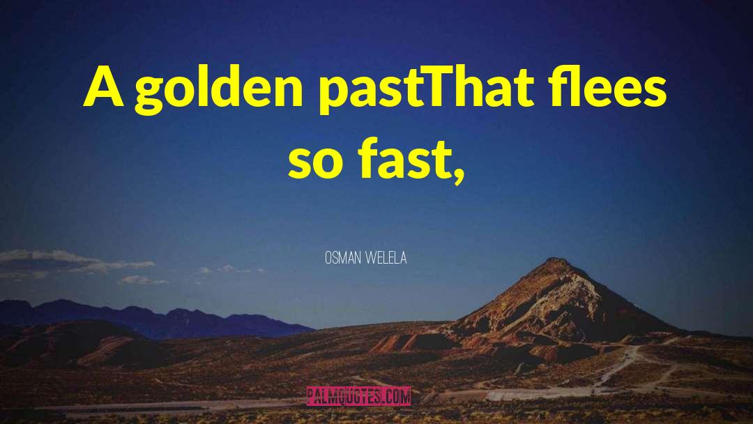 Fast Life quotes by Osman Welela