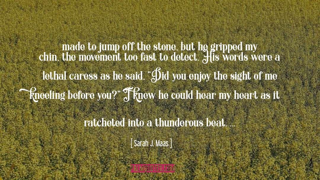 Fast Little Articles quotes by Sarah J. Maas