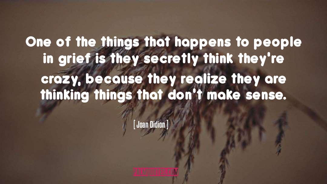 Fast Thinking quotes by Joan Didion