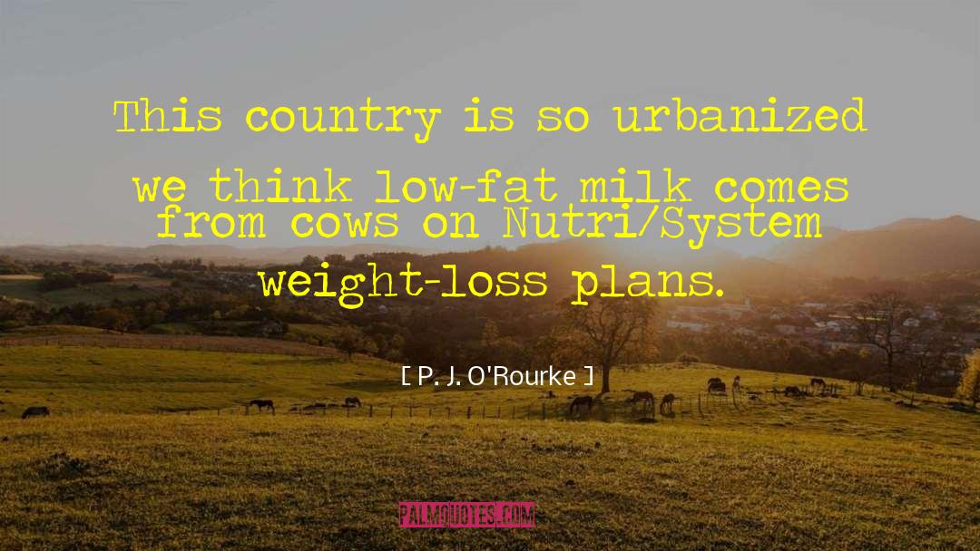 Fast Weight Loss quotes by P. J. O'Rourke