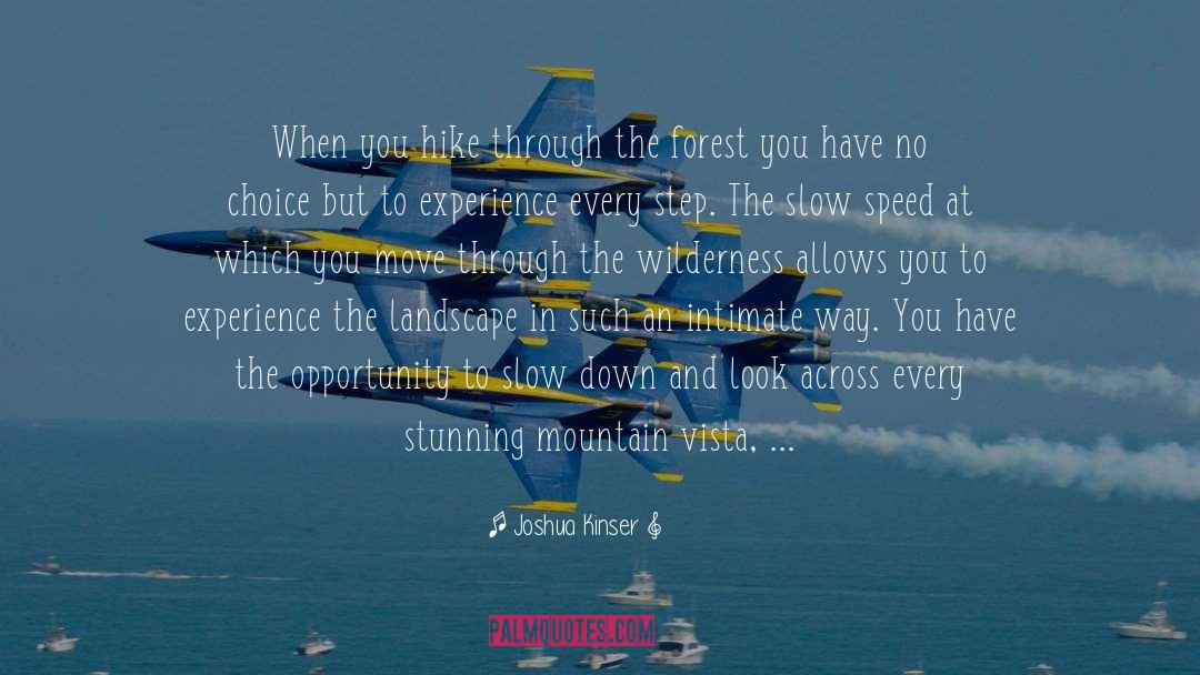 Faster Speed quotes by Joshua Kinser