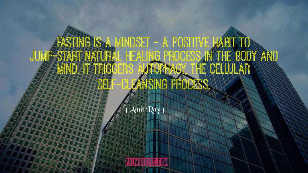 Fasting Mindset quotes by Amit Ray