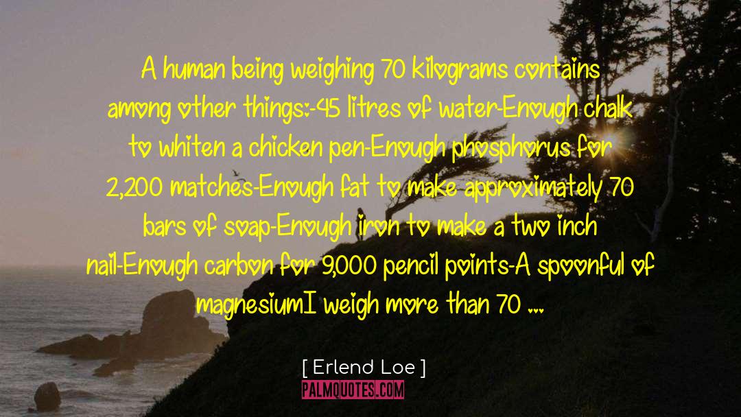 Fat Bashing quotes by Erlend Loe