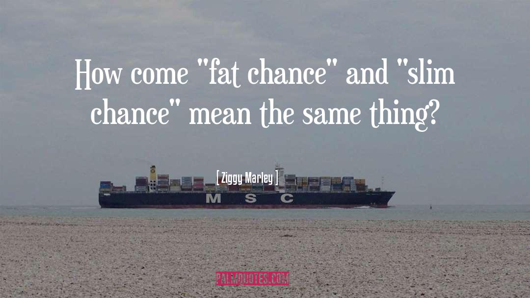 Fat Chance quotes by Ziggy Marley